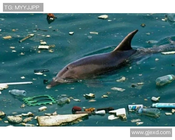 细思极恐的足球球星面孔背后隐藏的秘密与传奇人生 细思极恐的足球球星面孔背后隐藏的秘密与传奇人生